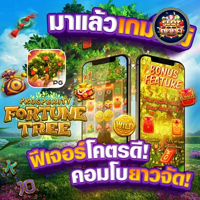 โปรโมชั่น wow slot pg